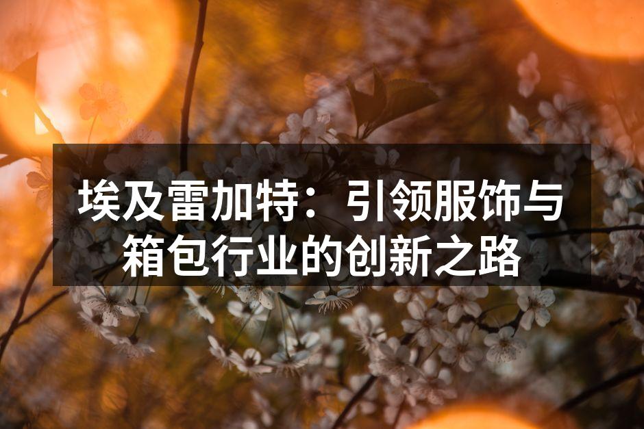 埃及雷加特：引领服饰与箱包行业的创新之路